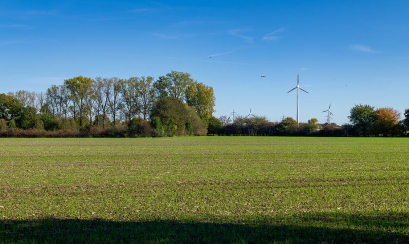 Sunny open field with wind turbines and trees under clear blue sky, perfect for renewable energy symbolism.