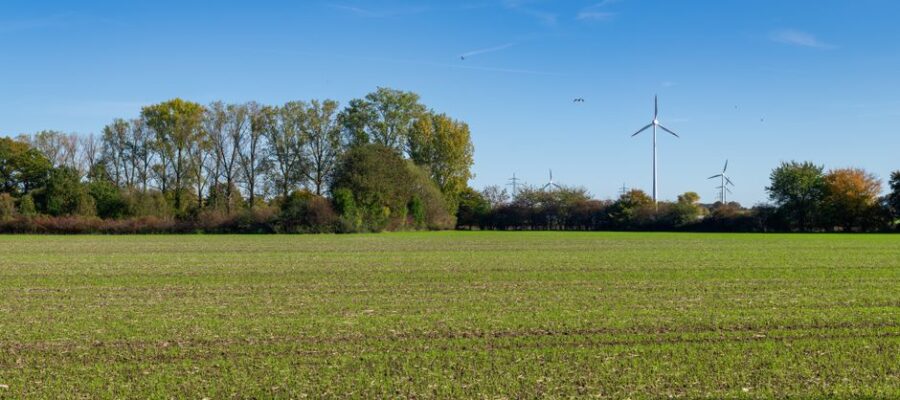 Sunny open field with wind turbines and trees under clear blue sky, perfect for renewable energy symbolism.