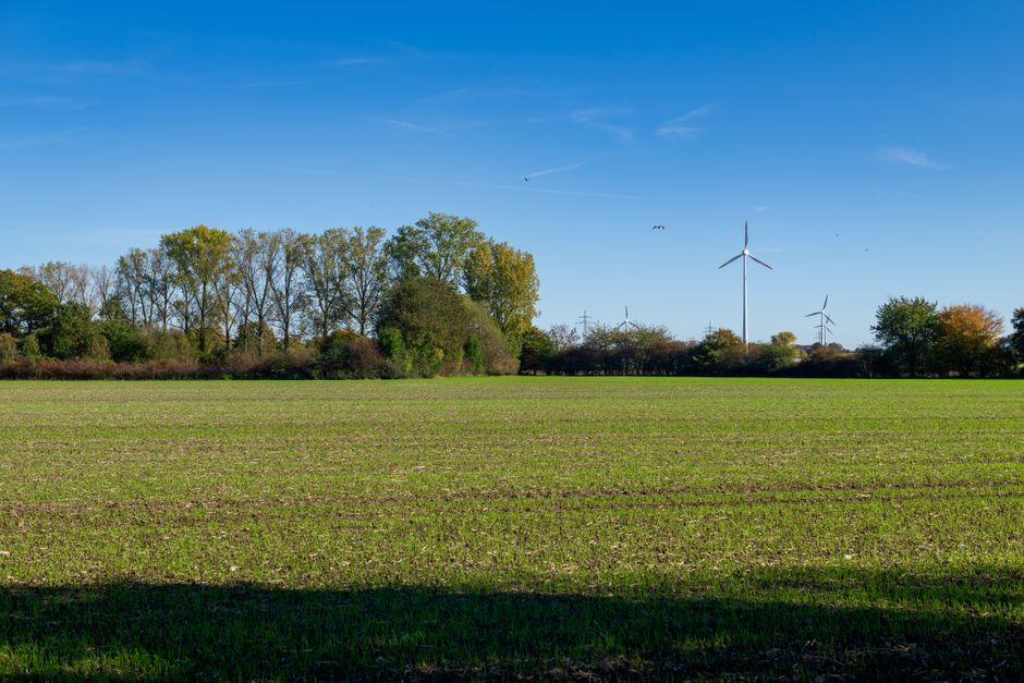 Sunny open field with wind turbines and trees under clear blue sky, perfect for renewable energy symbolism.