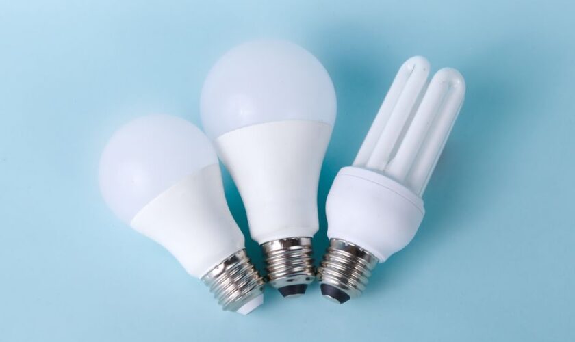 Three assorted LED and CFL light bulbs against a light blue background.