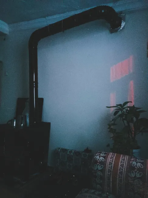 A vintage stove pipe in a cozy, plant-filled living room with warm lighting.