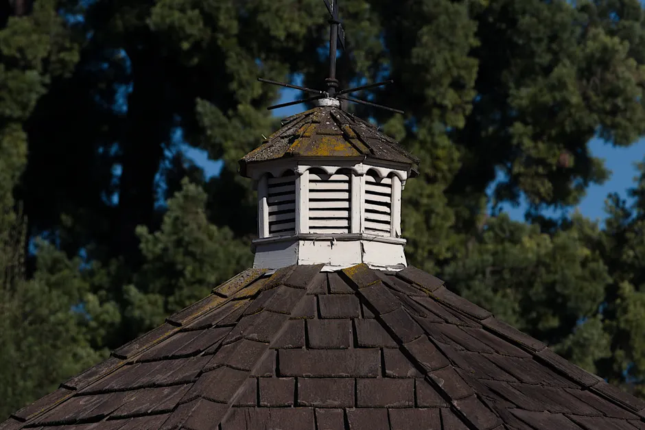 Close-up of a weathered wooden cupola atop a rustic shingle roof against a forested backdrop.