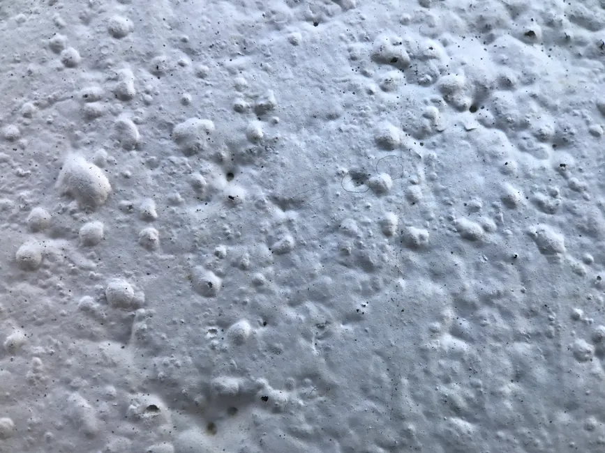 Detailed close-up of a white textured wall with a porous surface in natural light.