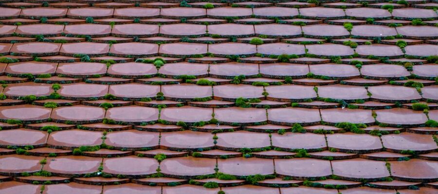 Detailed view of a classic red tiled roof with green moss growing between the tiles.