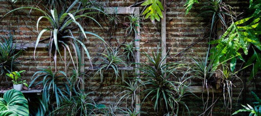 Lush vertical garden with diverse green plants on an aged brick wall, perfect for natural decor.