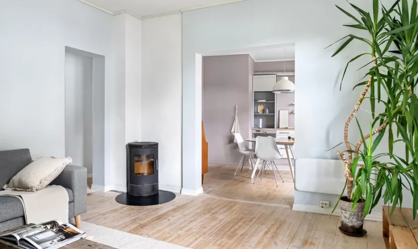 Stylish interior of a modern living room with a wood stove and houseplant.