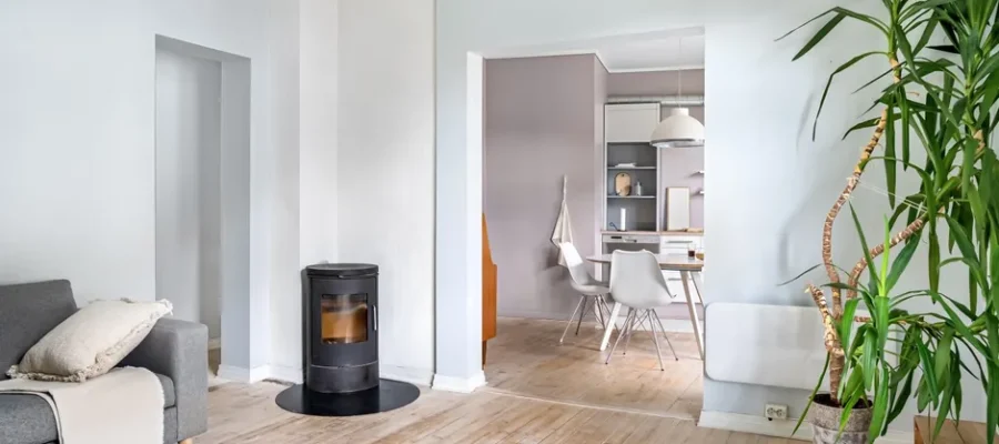 Stylish interior of a modern living room with a wood stove and houseplant.